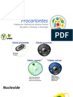Procariontes