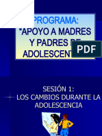 Programa:: "Apoyo A Madres Y Padres de Adolescentes"