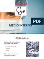 Medio Interno