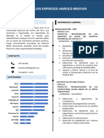 CV Luis Espinoza Harold Brayan-1