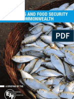 Fisheries and Food Security in The Commonwealth: A Briefing by The
