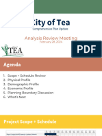Tea Comprehensive Plan - Analysis Review Meeting