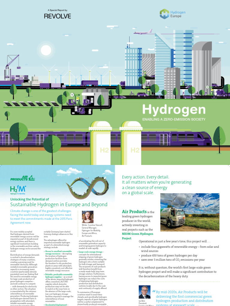 Green Hydrogen: Europe's Sustainable Future | PDF | Renewable Energy ...