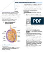 Morfofisiologia Do Sistema Reprodutor Masculino