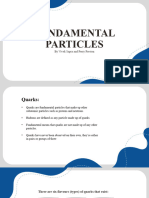 Fundamental Particles Physics Project