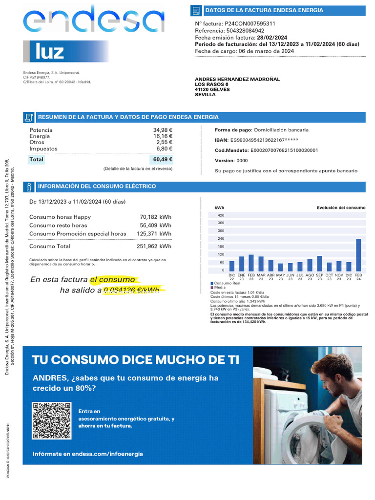 Factura de Endesa Energía: Resumen y Consumo | PDF | Poder (Física ...