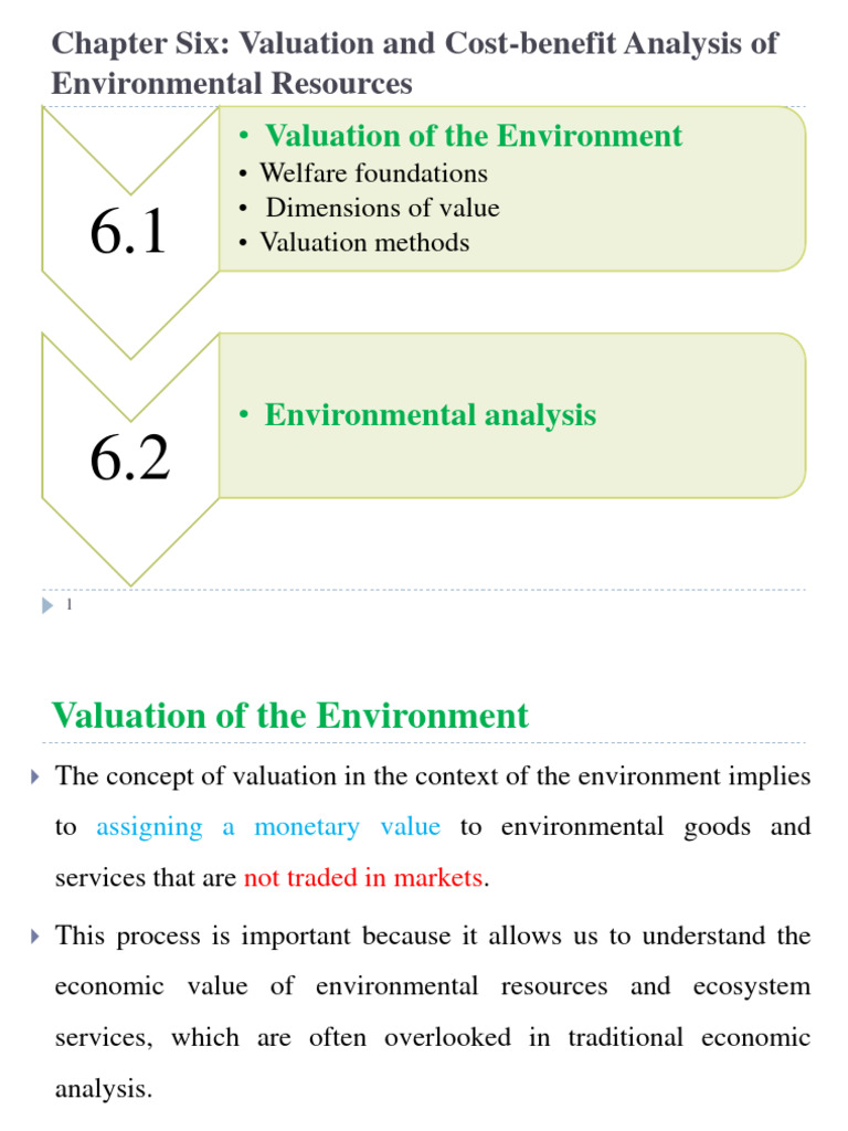Environmental Valuation Methods Explained | PDF | Environmental Impact ...