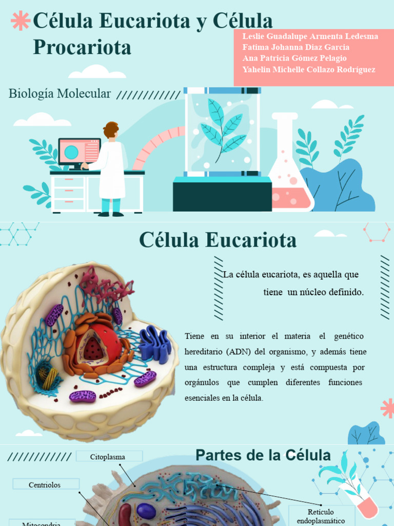 Celulas Eucariotas y Procariotas - Biología | PDF | Biología Celular ...