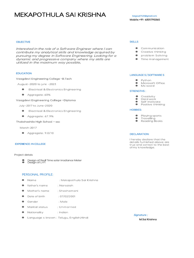Aspiring Software Engineer Profile | PDF