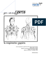 PRANAYAMA. La Respiracion Yoguica
