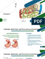 Cardiovascular and Lymphoid Systems FINAL