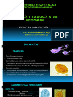 Clase 01 - Morfología y Fisiología de Los Protozoarios