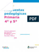 Propuestas Pedagógicas: Primaria