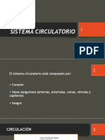 Sistema Circulatorio