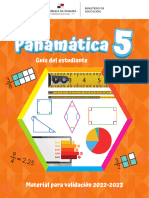 Panamatica-5-web