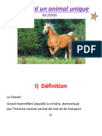 Un Cheval Un Animal Unique Par Océane