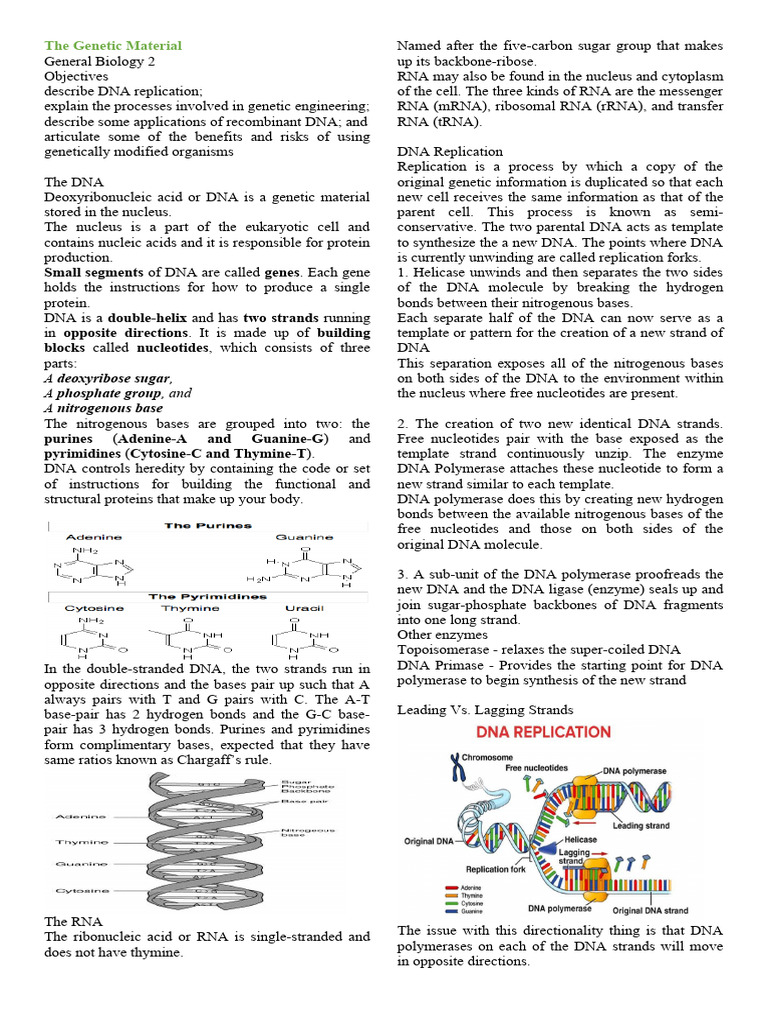 Molecular Biology | Download Free PDF | Dna | Messenger Rna