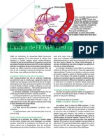 L'index de HOMA: C'est Quoi ?: Comprendre