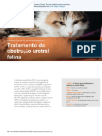 TVP-2020 Managing Feline Urethral Obstruction PORTUGUES