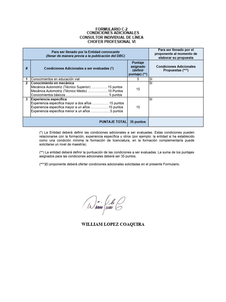 Condiciones Adicionales Consultor Chofer VI | PDF