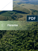 Mattos-RQMA-Florestas
