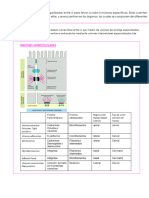 Histología y Embriología - 230630 - 005254