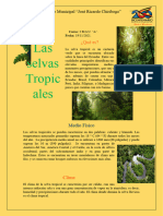 John Rivera 3a Biologia Tarea de Las Selvas Tropicales