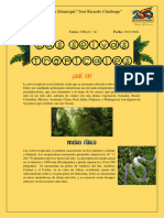 John Rivera 3a Biologia Tarea de Las Selvas Tropicales