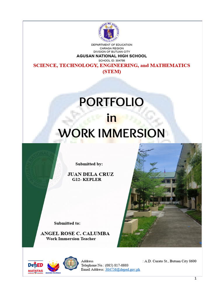 STEM Work Immersion Portfolio Guide | PDF | Learning | Curriculum