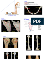 Regiones Del Hombro - Deltoidea, Escapular y Pectoral