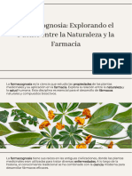 Farmacognocia, Explorando-El-Puente-Entre-La-Naturaleza-Y-La-Farmacia