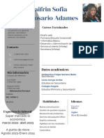 Currículum Profesional Monocromático Verde PDF