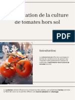 Wepik Optimisation de La Culture de Tomates Hors Sol 20240412232024rgy4