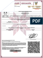 Registro Profesional Estatal: Dirección General de Profesiones Del Estado de Hidalgo