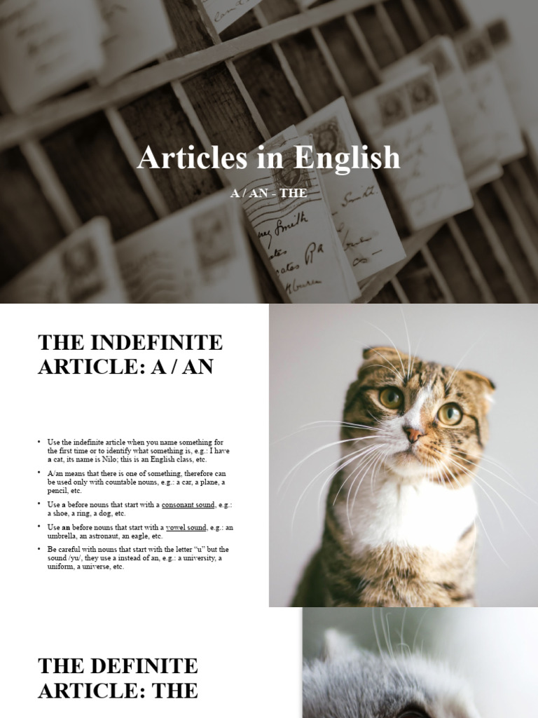 Understanding English Articles: A/An/The | PDF