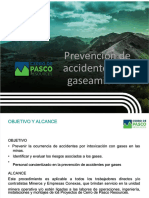 PDF Prevencion Accidentes Por Gaseamiento - Compress