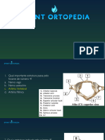 Anatomia de Coluna