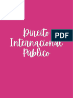 Direito Internacional Público 2