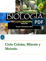 Ciclo Celular Mitosis Meiosis y Ciclos de Vida 2019