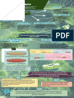 Infografia de Daño Microbiano