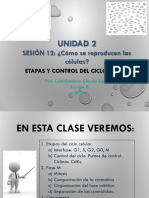 Sesión 12 - 240411 - 102206