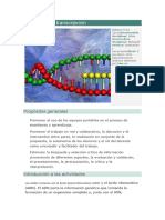 Duplicación y Transcripción: Propósitos Generales