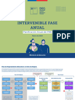 fase_anual_formulario_intervenible_2024