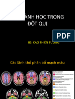 2. HÌNH ẢNH HỌC TRONG ĐỘT QUỴ-update