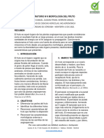 Informe N°6 Morfología Del Fruto