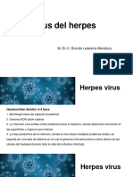 6. Herpes virus