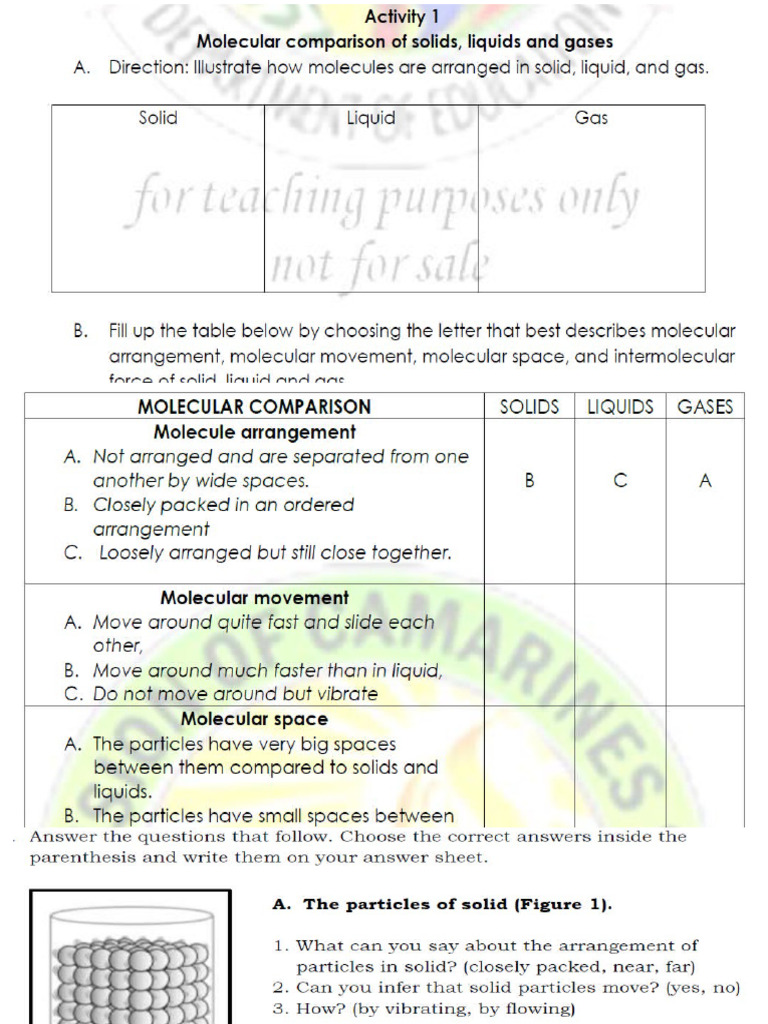 3 States of Matter (SLG) | PDF