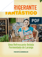 refrigerante_fantastico_rita_zamberlan