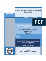 Ojedaj_a2u9_DA-DS Determinación Del Daño Ambiental (1)