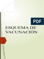 Esquema de Vacunación 50